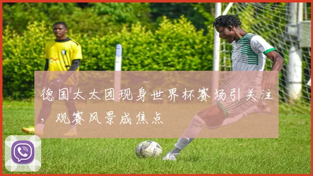 德国太太团现身世界杯赛场引关注，观赛风景成焦点