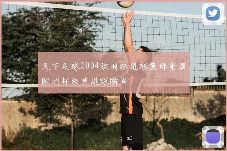 天下足球2004欧洲杯进球集锦重温欧洲杯经典进球瞬间