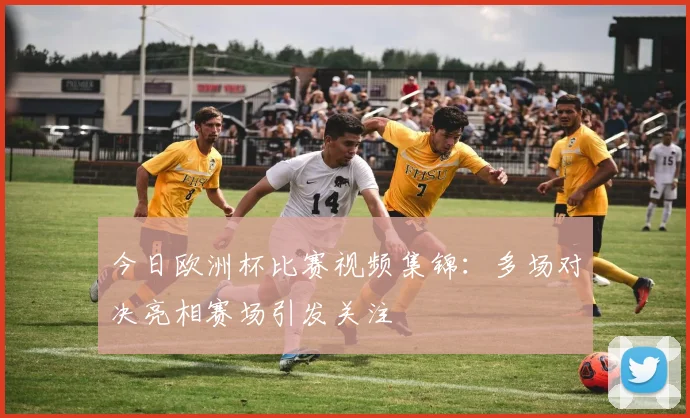今日欧洲杯比赛视频集锦:多场对决亮相赛场引发关注