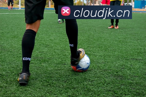 九游网页版登录界面平台生态图